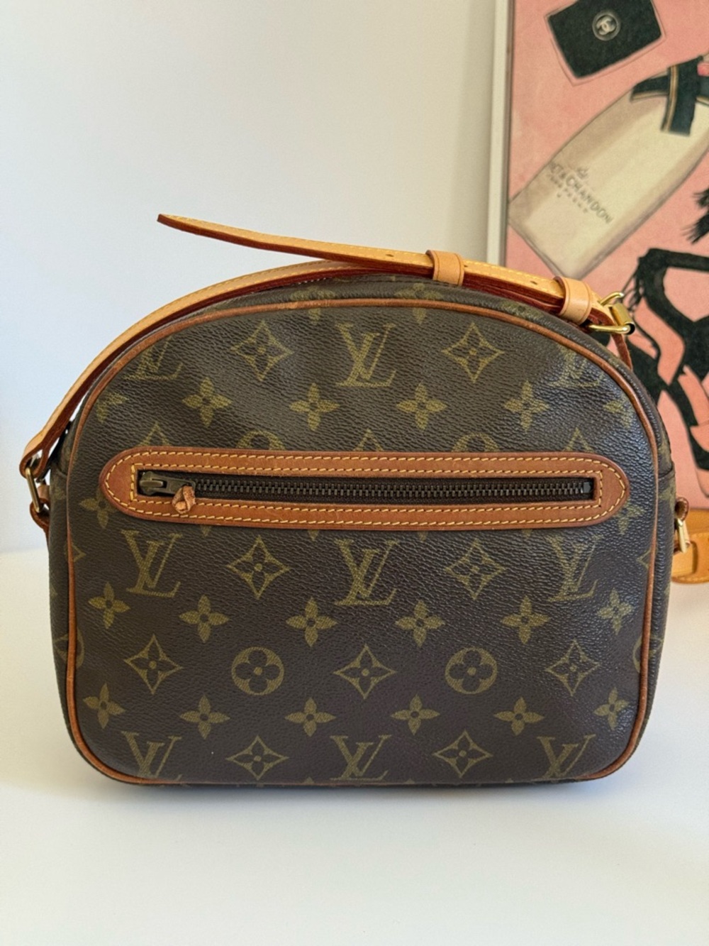 Louis Vuitton 💫 Senlis Vintage Monogram Crossbody Camera Bag - Picture 4 of 17
